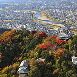 紅葉の時期は必見！